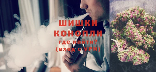 прущие грибы Балабаново