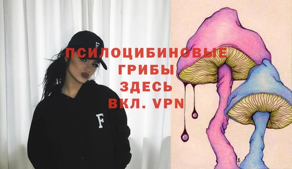 мяу мяу мука Аркадак